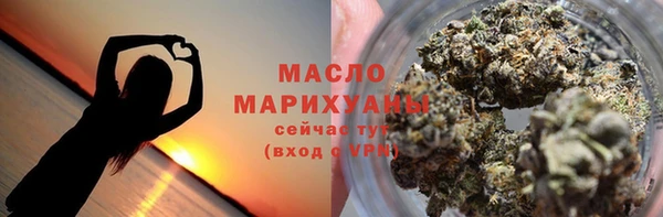 индика Осташков