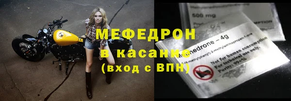 индика Осташков