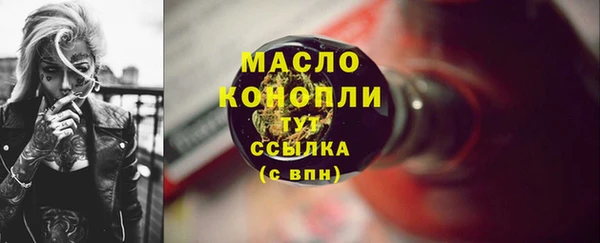 индика Осташков
