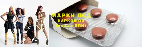 индика Осташков