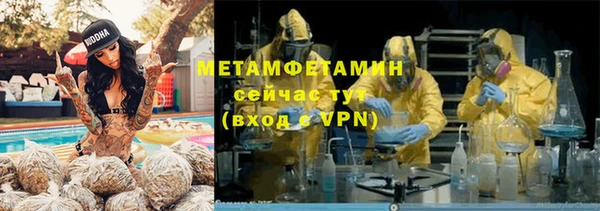 индика Осташков