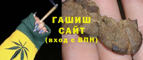 индика Осташков